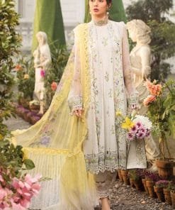 Pakistani Suits Lucknow