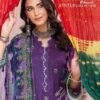 Charisma Chunri Winter Collection Shree Fabs Pashmina Suits Wholesale Online