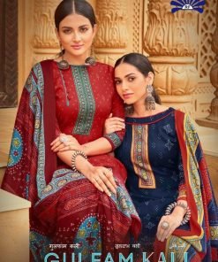 Gulfam Kali Vol 28 Radha Fab Pashmina Suits Wholesale Online