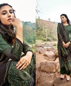 Sadhna Yumna Sadhna Pashmina Suits Wholesale Online