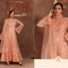 Pakistani Simple Dress