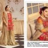 Pakistani Suit Design Images