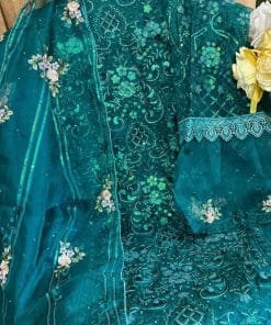 Fancy Pakistani Clothes