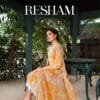 Resham Daman Lace Embroidered Work with Scalloping BelliZa DesigNer StuDio