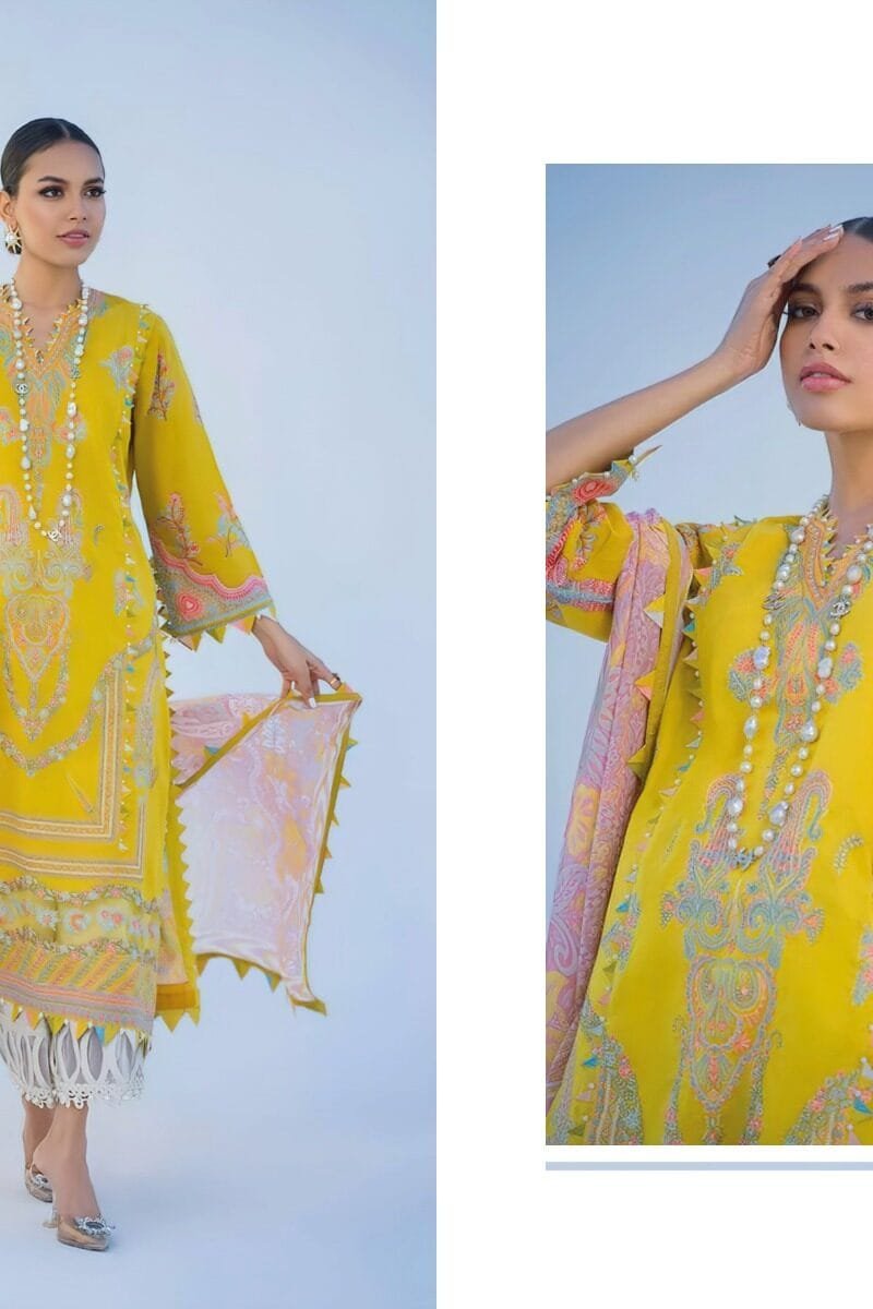 7 Clouds Firdous collection 1 Pure cotton Print with work