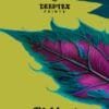 Pichkari Vol 22 Deeptex Wholesale Cotton Dress Material