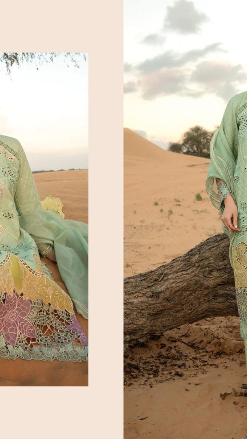 Rangrasiya Premium Lawn 24 Deepsy Suits